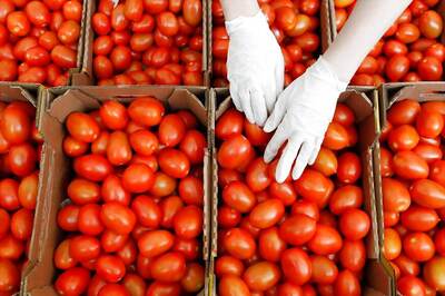 Here Are Five Health Benefits of Tomato