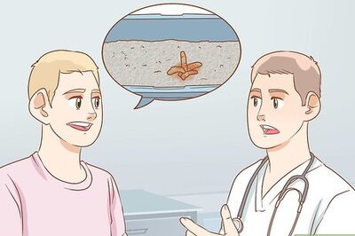 How to Treat a Cat with Blood in Its Stool