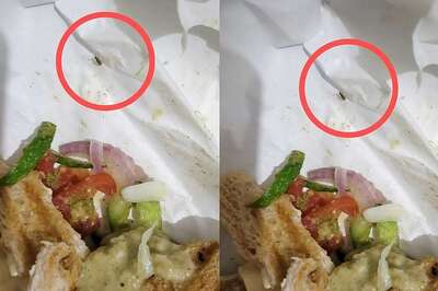 Bengaluru Woman Gets 'Cockroach' in Sandwich Ordered From Zomato, Internet Says, 'Nothing New'
