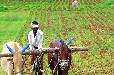 Farmers’ Day 2022: Why is Chaudhary Charan Singh's Birth Anniversary Celebrated as Kisan Diwas?