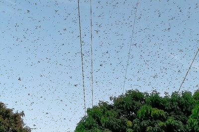 Centre Asks States to Streamline Inter-state Movement of Personnel Engaged in Locust Control