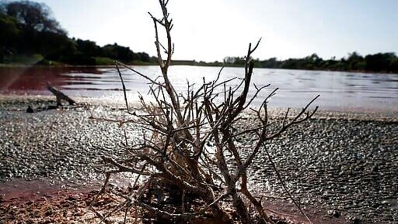 Pollution turns one side of divided Paraguayan lagoon purple