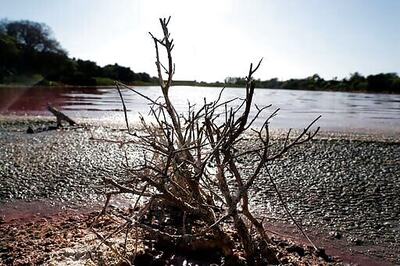Pollution turns one side of divided Paraguayan lagoon purple