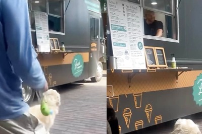 Video Of Dog's Happy Walk To Ice Cream Van Is The Cutest Thing On The Internet Today