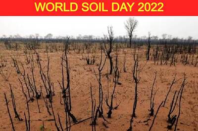 Why Do We Celebrate World Soil Day? Theme, History and Significance