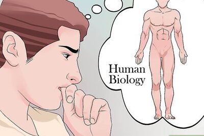 How to Write a Research Essay