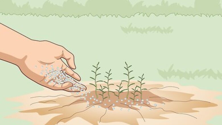 How to Fertilize Herbs