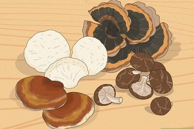 Everything You Need to Know About Functional Mushrooms