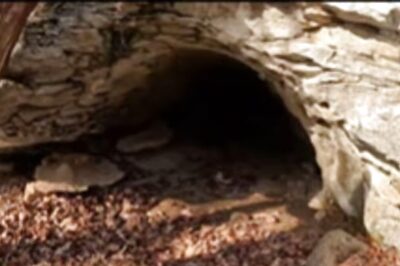 Man Finds Cave Behind House After Three Days Of Digging