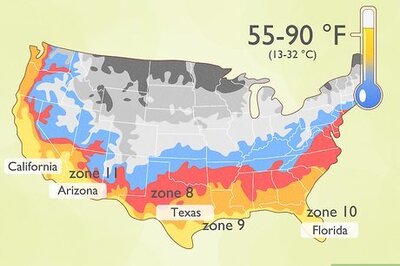 How to Grow Citrus Fruits
