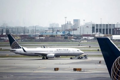 Puppy Dies on United Airlines Flight After Being Put in Overhead Bin