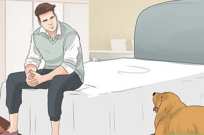 How to Encourage Your Dog to Sleep in Your Bed
