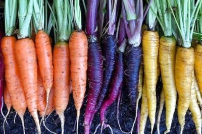 5 Health Benefits of Eating More Carrots