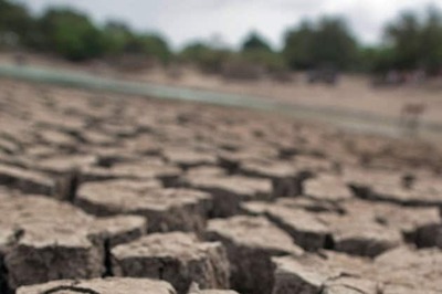Drought looms over Rajasthan as 23 districts received deficit rains