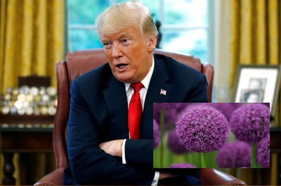 Former Trump fundraiser Charged with Illicit Lobbying on 1MDB, China