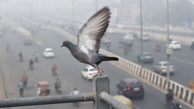 Delhi's Air Quality is 'Moderate', No Sudden Change Likely in Next 3-4 Days: Govt Agencies