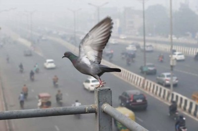 Delhi's Air Quality is 'Moderate', No Sudden Change Likely in Next 3-4 Days: Govt Agencies