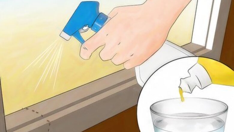 How to Kill Ants without Pesticides