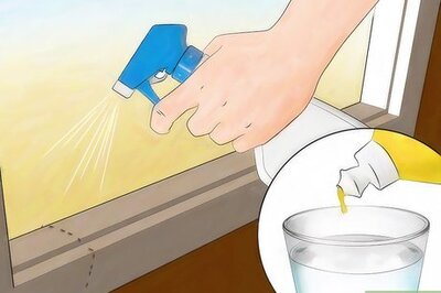 How to Kill Ants without Pesticides