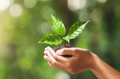 Environmentalists Sound Alarm Over Proposal To Open Pakkasuran Malai Peak In Nilgiris To Tourism; Here's Why