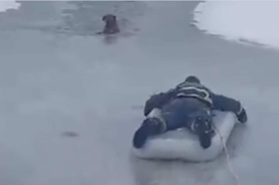 Heartwarming Video Shows Firefighter's Heroic Efforts Save Dog From Icy Lake