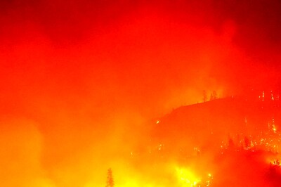 Wildfire Rips Through Algeria, Killing 42 People Including Soldiers