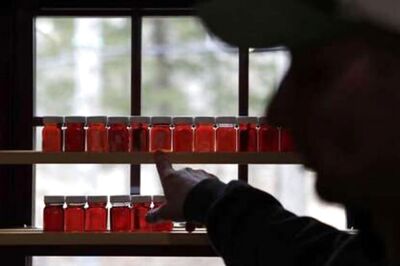 Coronavirus Pandemic Leaves Bitter Taste for Canada Maple Sugar Shacks