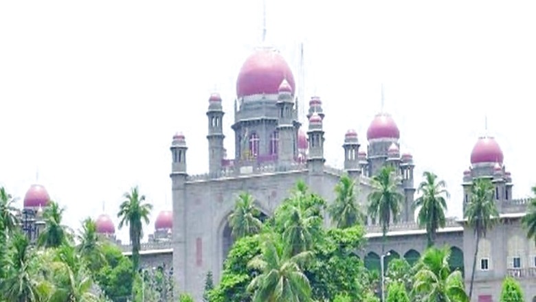 Telangana HC Orders Pole Climbing Test for Two Women Rejected for Lineman Job