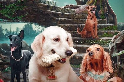 Did You Know Malayalam Film Valatty's Cast Included 100 Dogs?