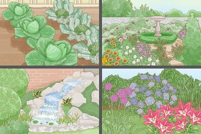 How to Plan, Prepare, and Plant a Garden