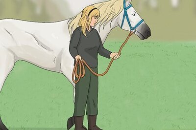 How to Ride a Horse Safely (Easy Beginners Guide)