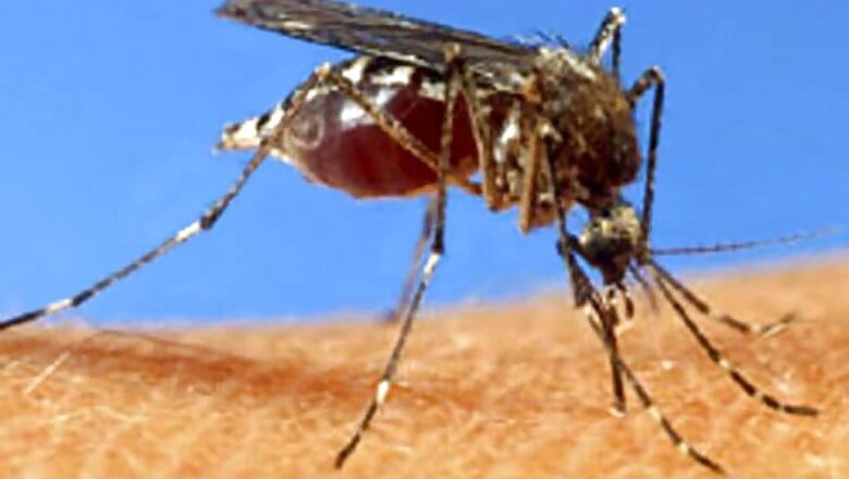Nearly 30 dengue cases in Delhi