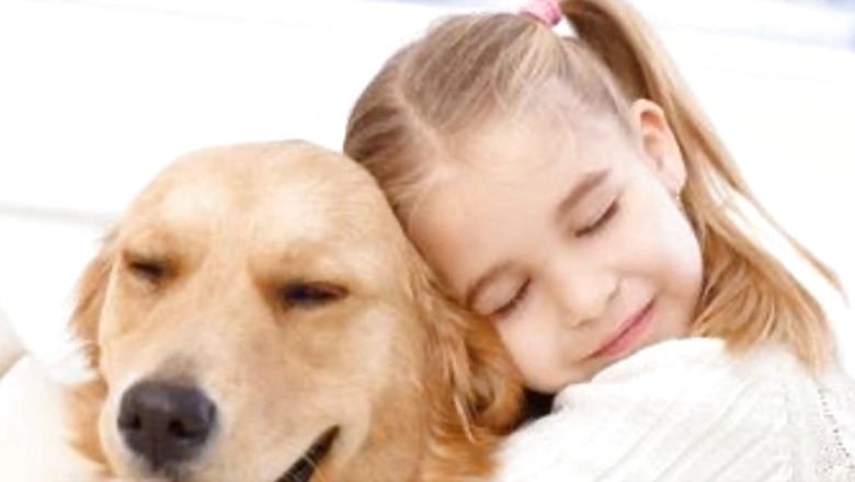 Stress Relieving To Mood Improvement: How Hugging Your Dog Can Help You