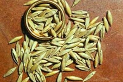 Bamboo seed is Viagra for Mizos