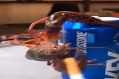 Watch: Crab Sipping Beer And Smoking Cigarette Is New Year's Mood