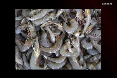 Allergic to shrimp? You may grow out of it