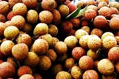 Indian Scientists Extend Shelf-life of Litchis
