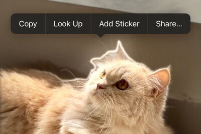 iPhone Trick: How To Remove Image Background And Isolate Subject In Seconds