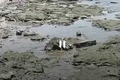 Fishermen Explain The Reason Behind Receding Sea Water Level From Rameswaram Coastline