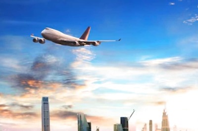 Huge Chunk Of Ice Falls From Passing Aeroplane And Crushes Goat To Death