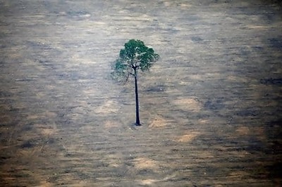 Brazil, Reversing Course, Says Will Keep Fighting Amazon Deforestation