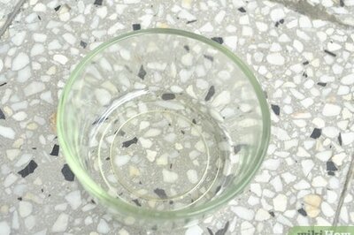 How to Create a Cat Water Bowl Planter