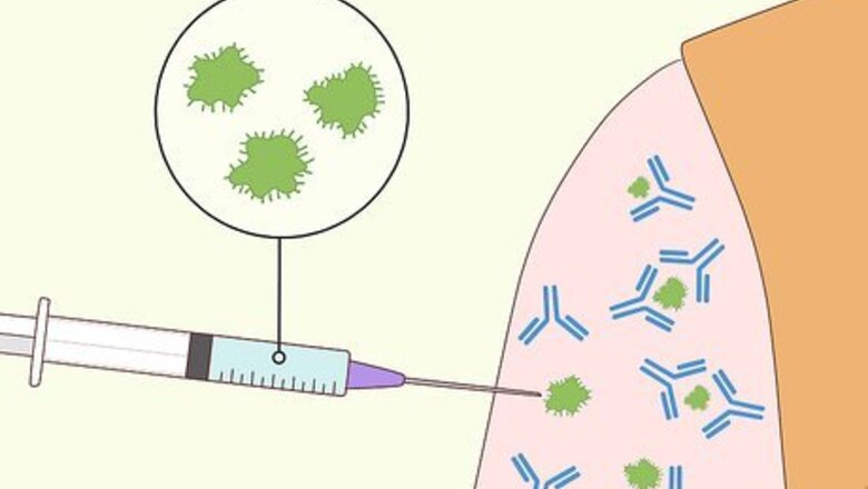How to Educate Others on the Importance of Immunization