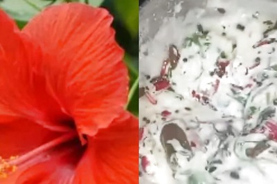 How To Make Karnataka-style Hibiscus Gojju At Home