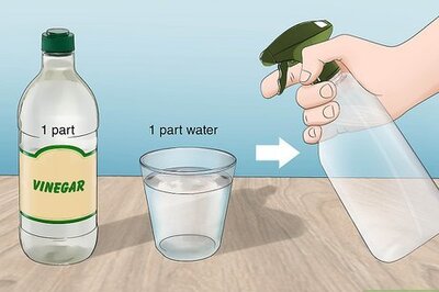 How to Get Rid of Wasps with Vinegar
