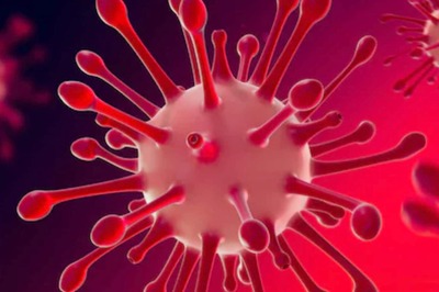 COVID-19: 5 Foods that will Help Improve Your Health While Recovering from COVID-19