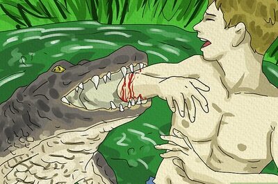 What Does It Mean When You Dream about an Alligator? 11 Expert Interpretations