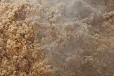 What Makes Tamil Nadu’s Dindigul Biryani Special And How It Is Prepared