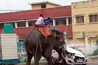 Jumbo Ride Turns Into 4-Hour Nightmare for Young Girls as Elephant Goes on Rampage at Dussehra Procession