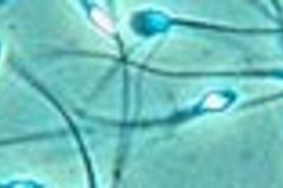 72-yr-old man to donate sperm for 'grandchild'